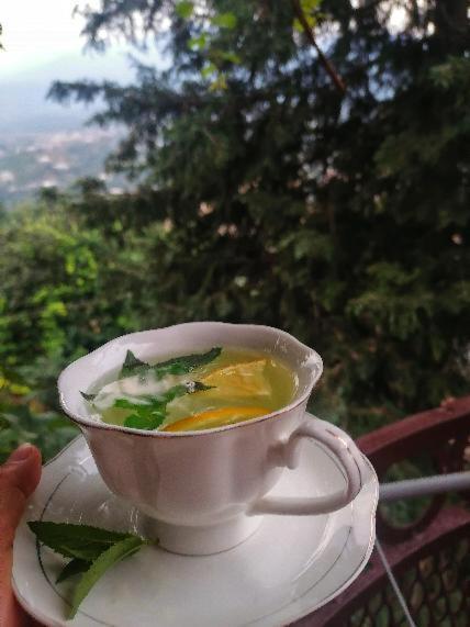 Elegaya Guest House Ijevan Dış mekan fotoğraf