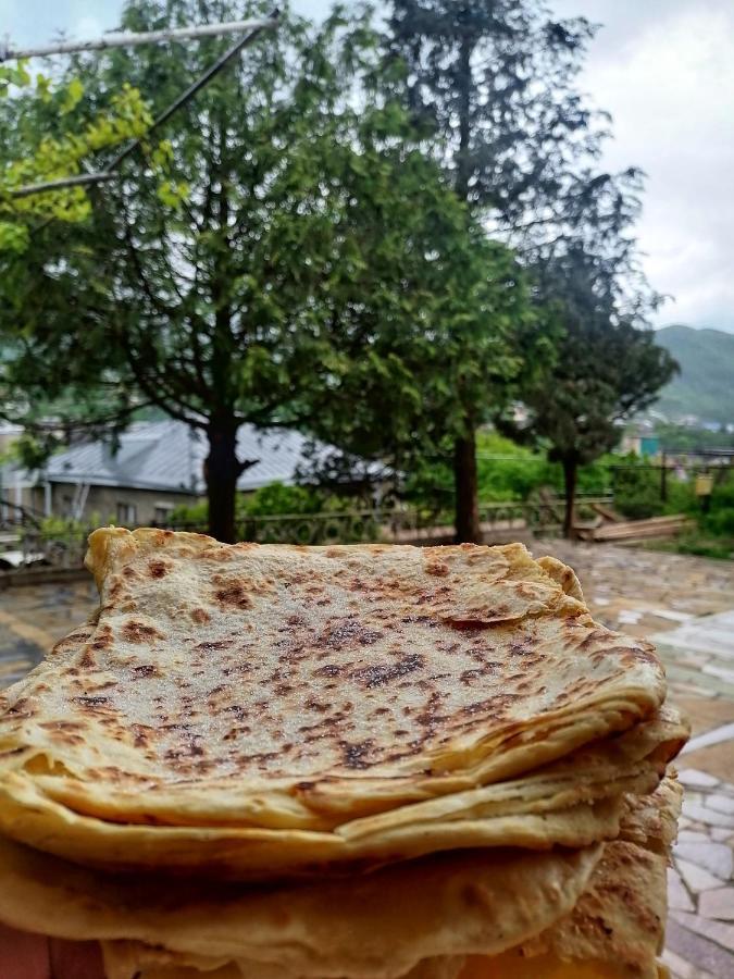 Elegaya Guest House Ijevan Dış mekan fotoğraf