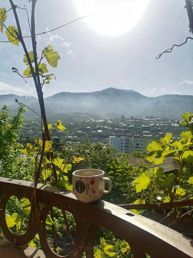 Elegaya Guest House Ijevan Dış mekan fotoğraf