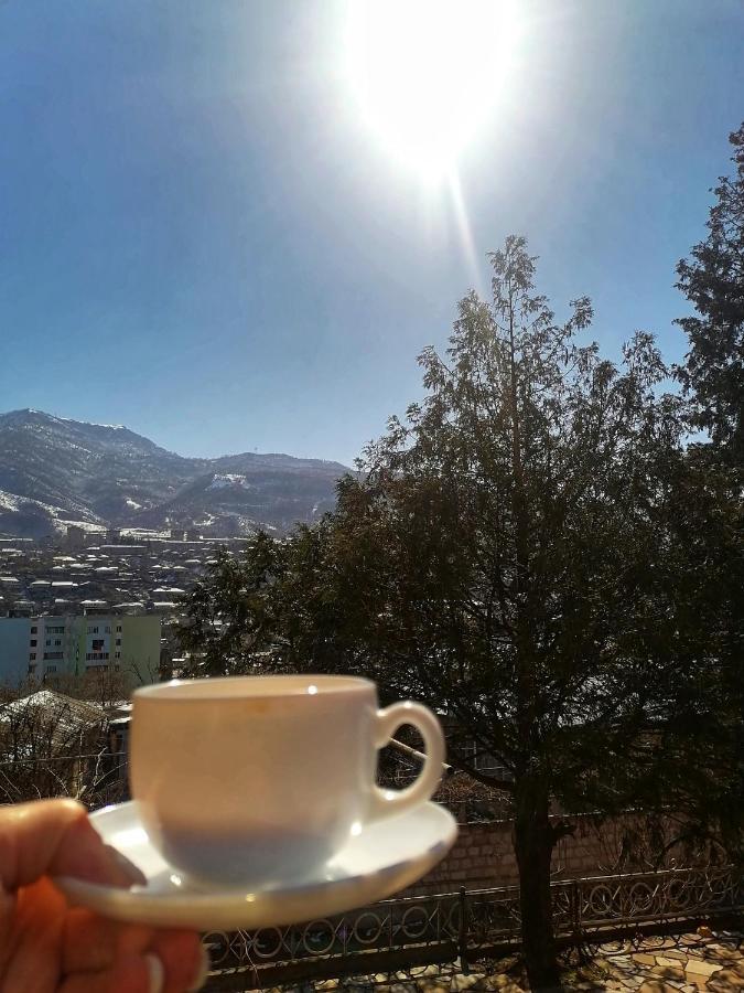 Elegaya Guest House Ijevan Dış mekan fotoğraf