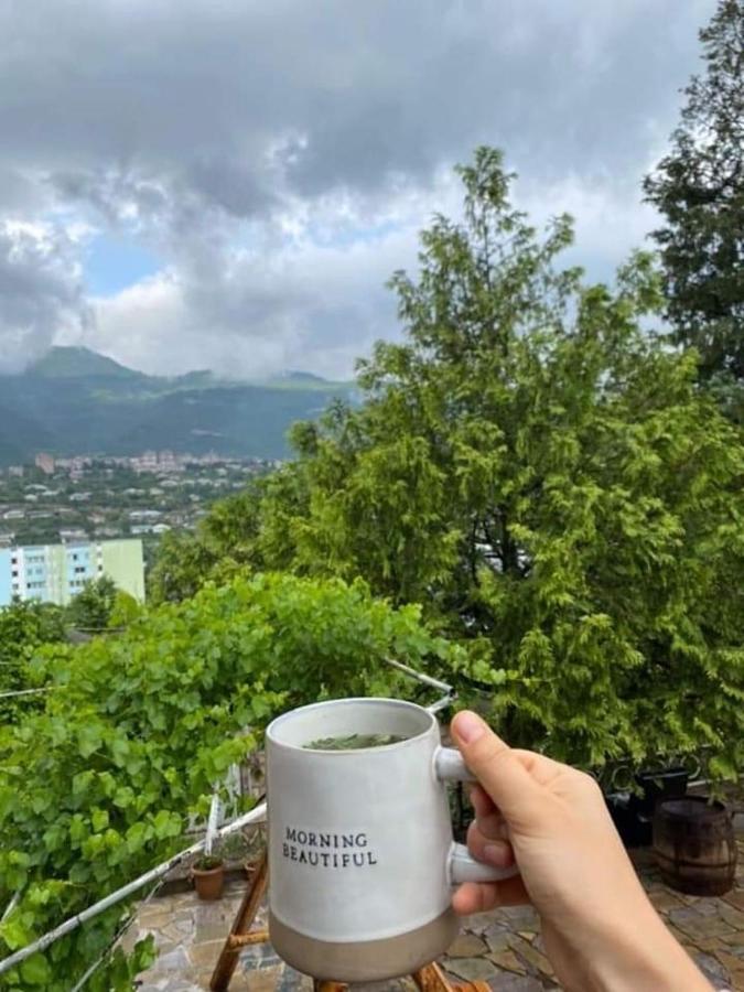 Elegaya Guest House Ijevan Dış mekan fotoğraf