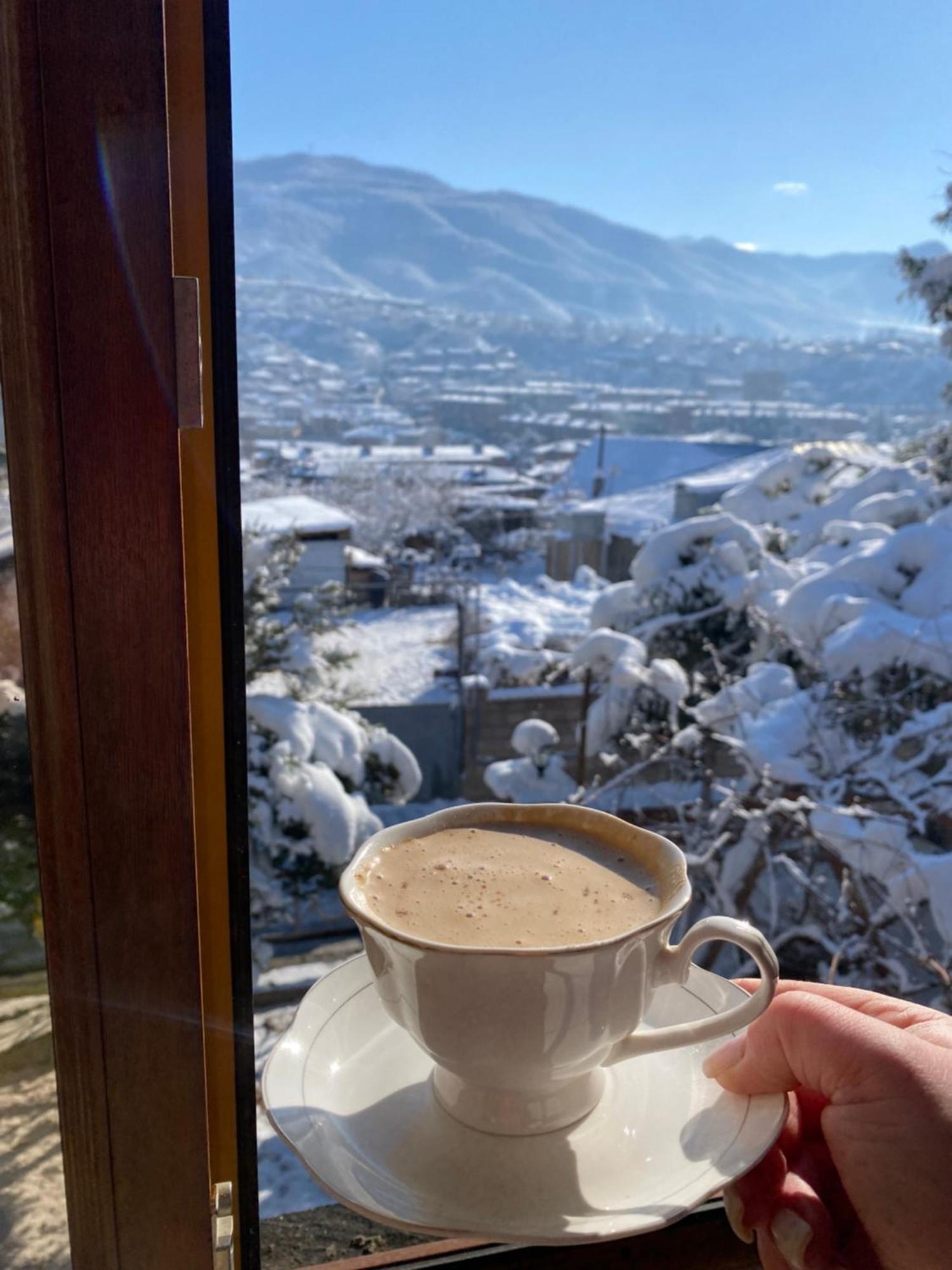 Elegaya Guest House Ijevan Dış mekan fotoğraf