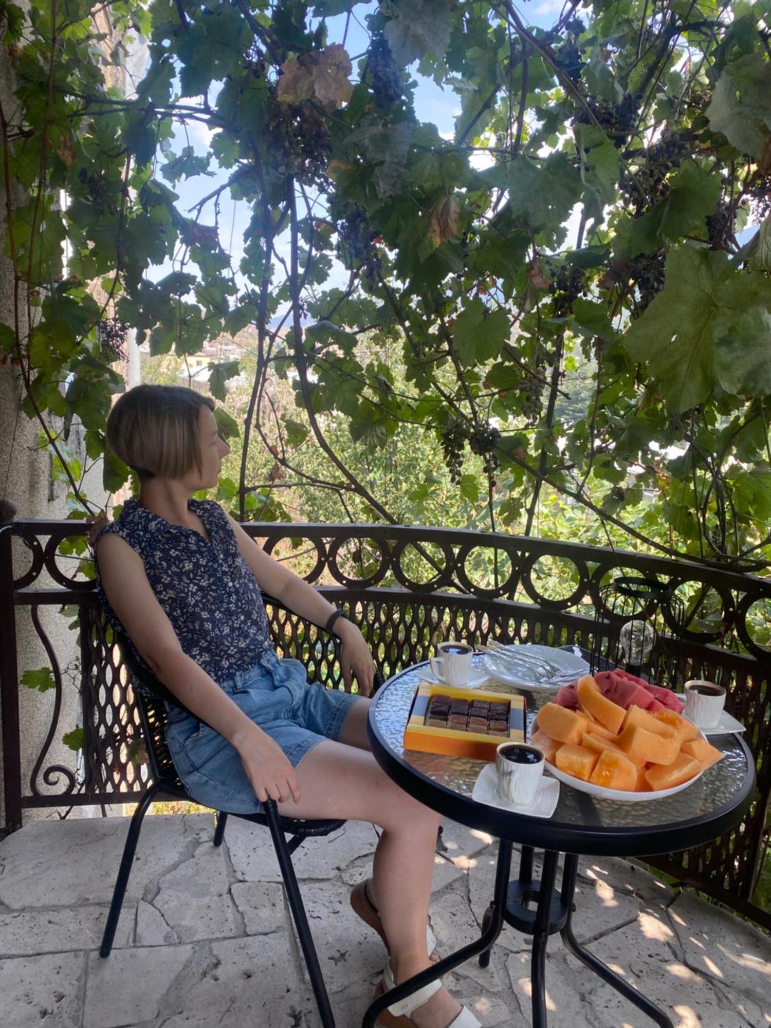 Elegaya Guest House Ijevan Dış mekan fotoğraf